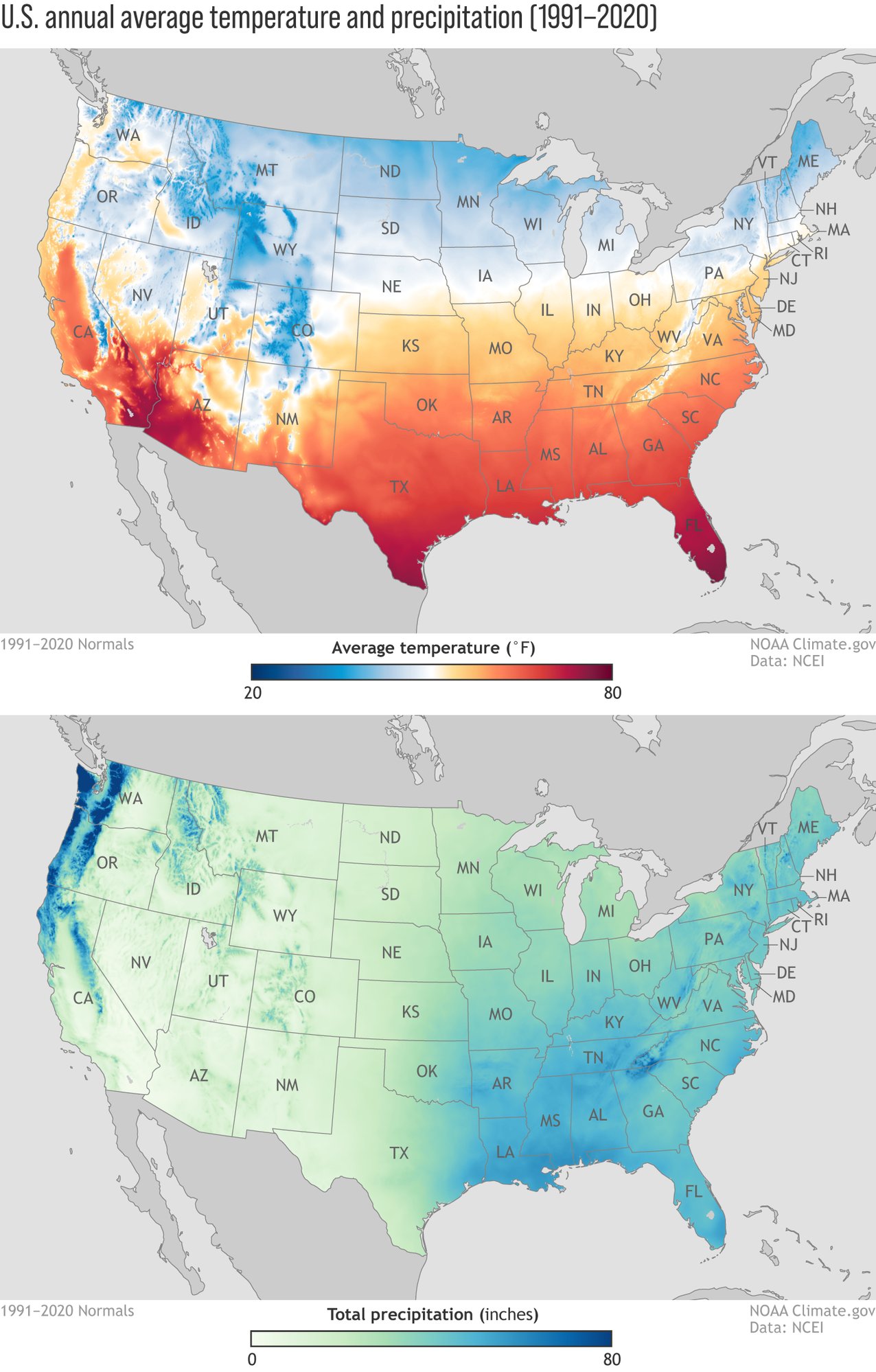 Normals_TotalPrecipAvgTemp_Annual_1991-2020_continuous_1400x2193