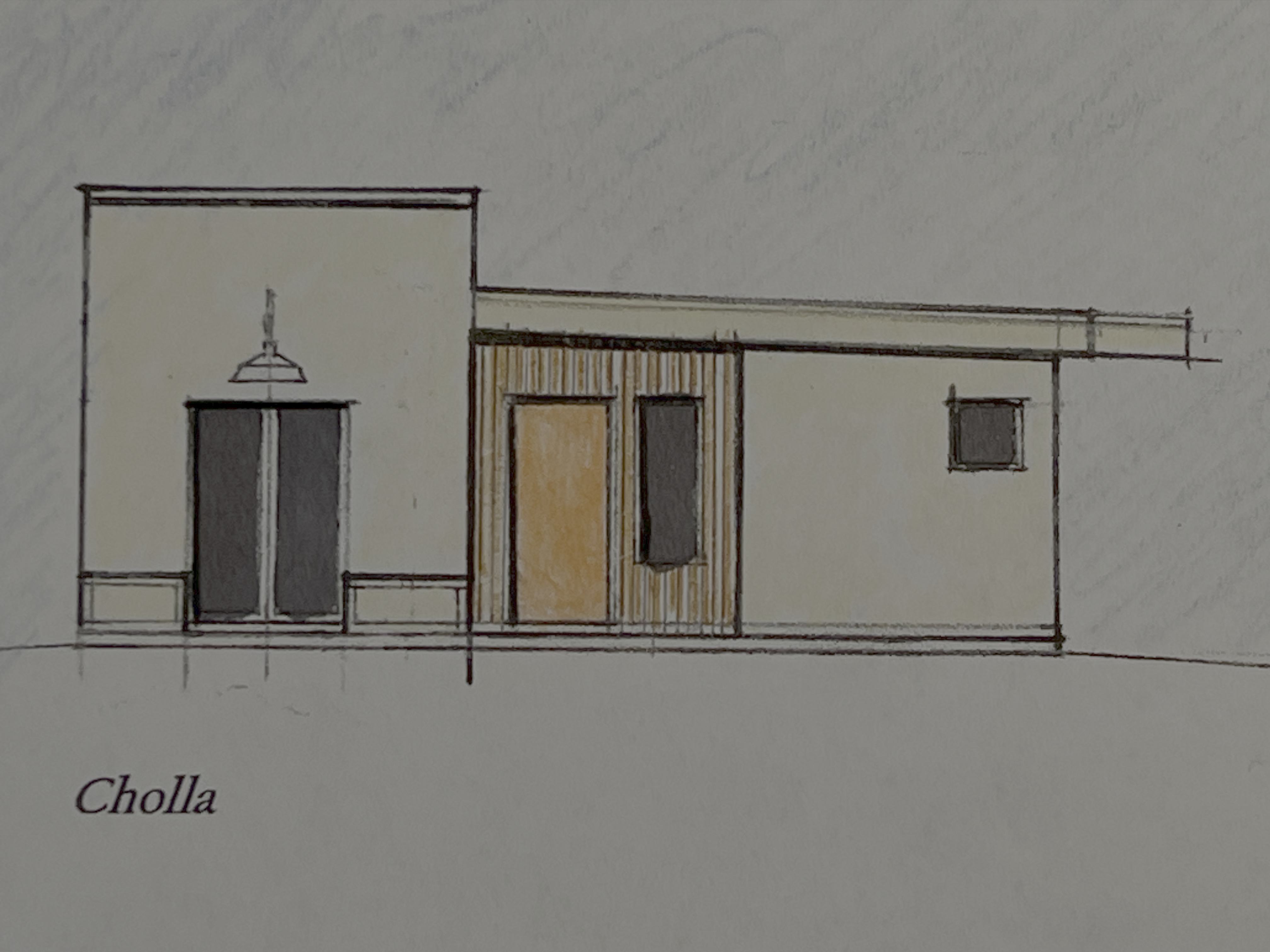 Cholla Original Drawing