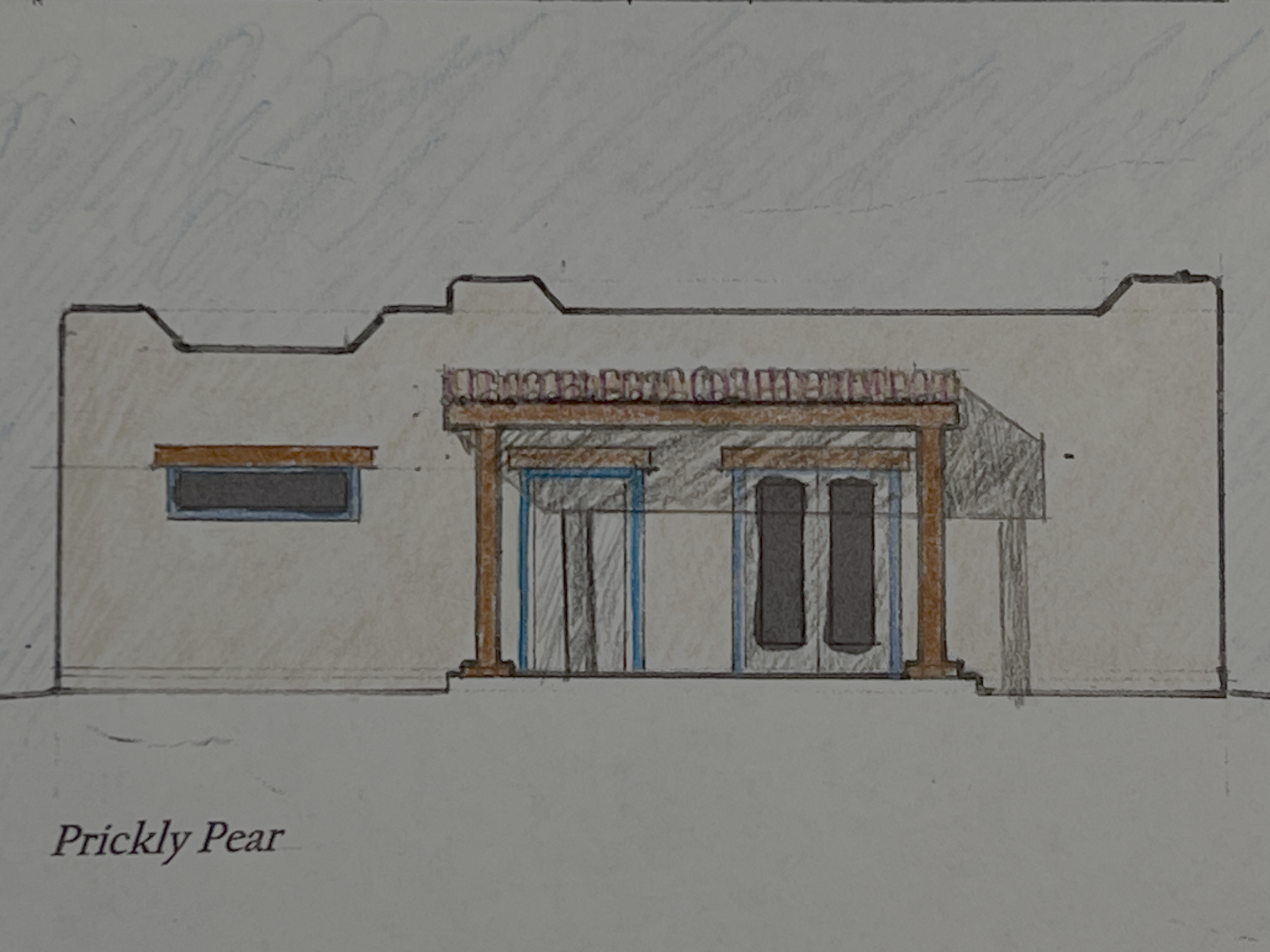 Desert Architect Prickly Pear Original Drawing