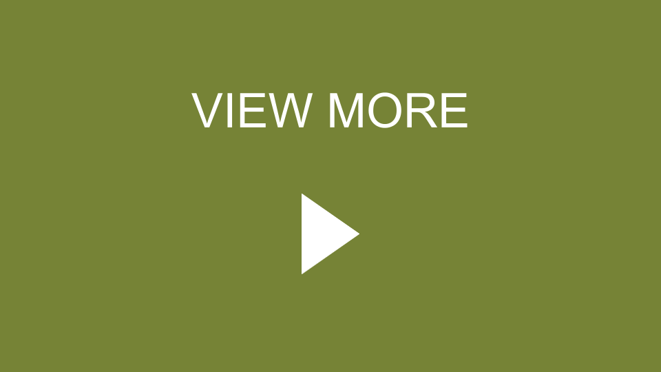 VIEW MORE